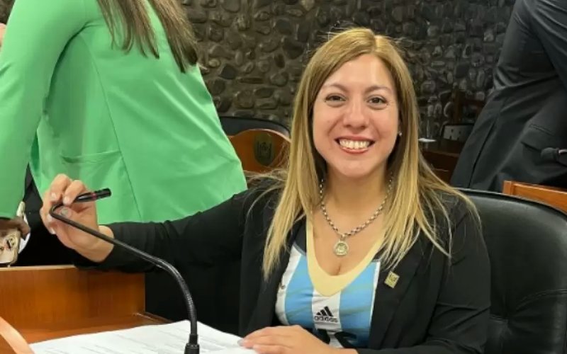 la-diputada-stella-nieva-reemplaza-a-cecilia-guerrero-como-miembro-del-tribunal-de-jury