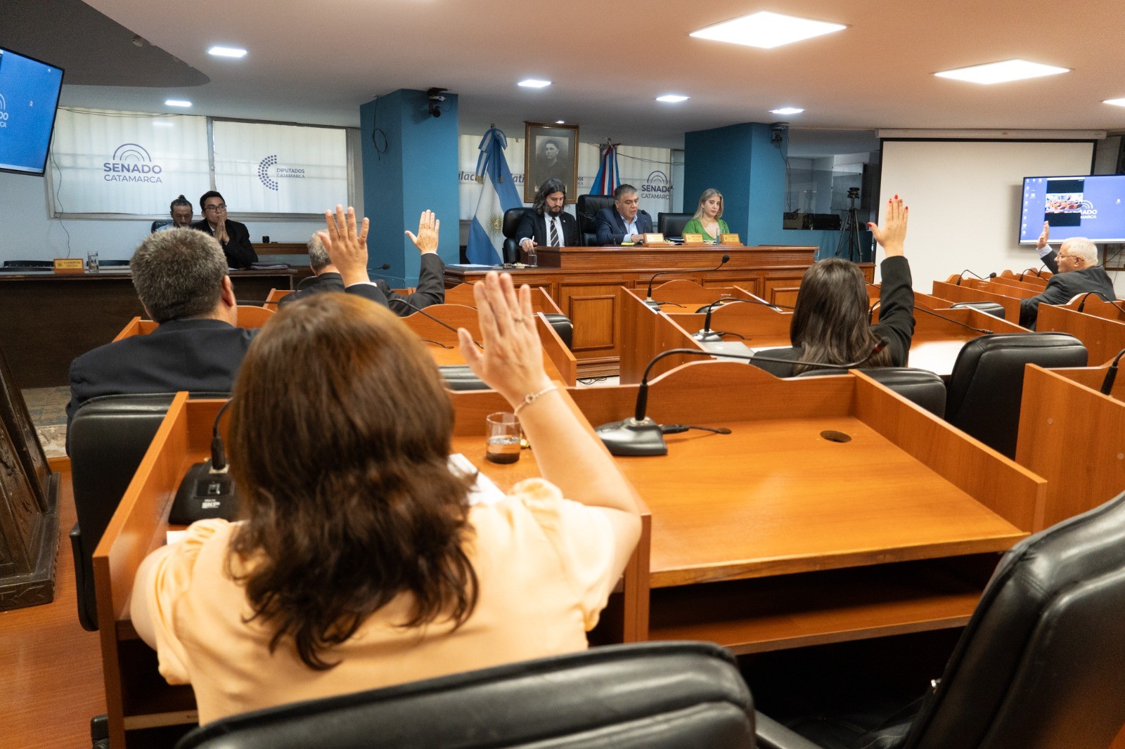 el-senado-dio-sancion-definitiva-a-la-unificacion-del-registro-publico-con-inspeccion-general-de-personas-juridicas