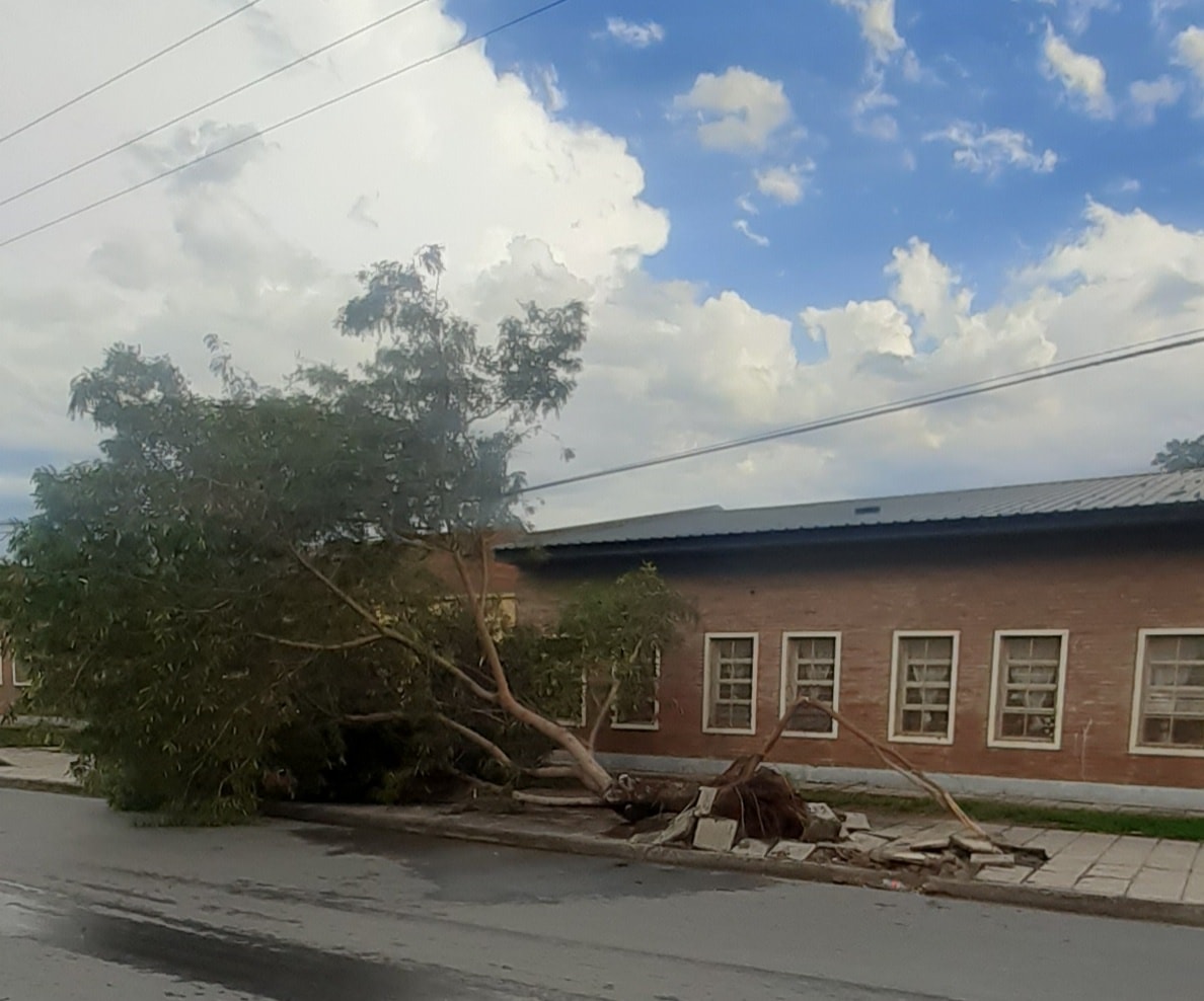 precauciones-a-tomar-ante-el-pronostico-de-tormenta