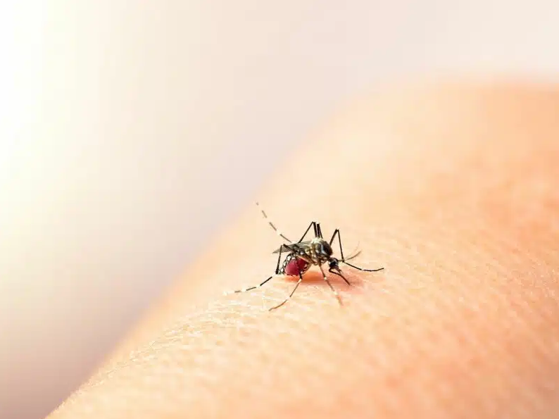 salud-confirmo-dos-casos-importados-de-dengue