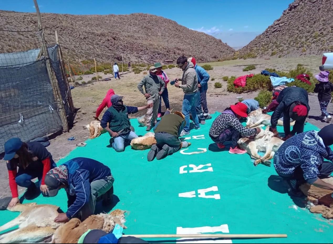 la-comunidad-de-la-angostura-realizo-su-chaku