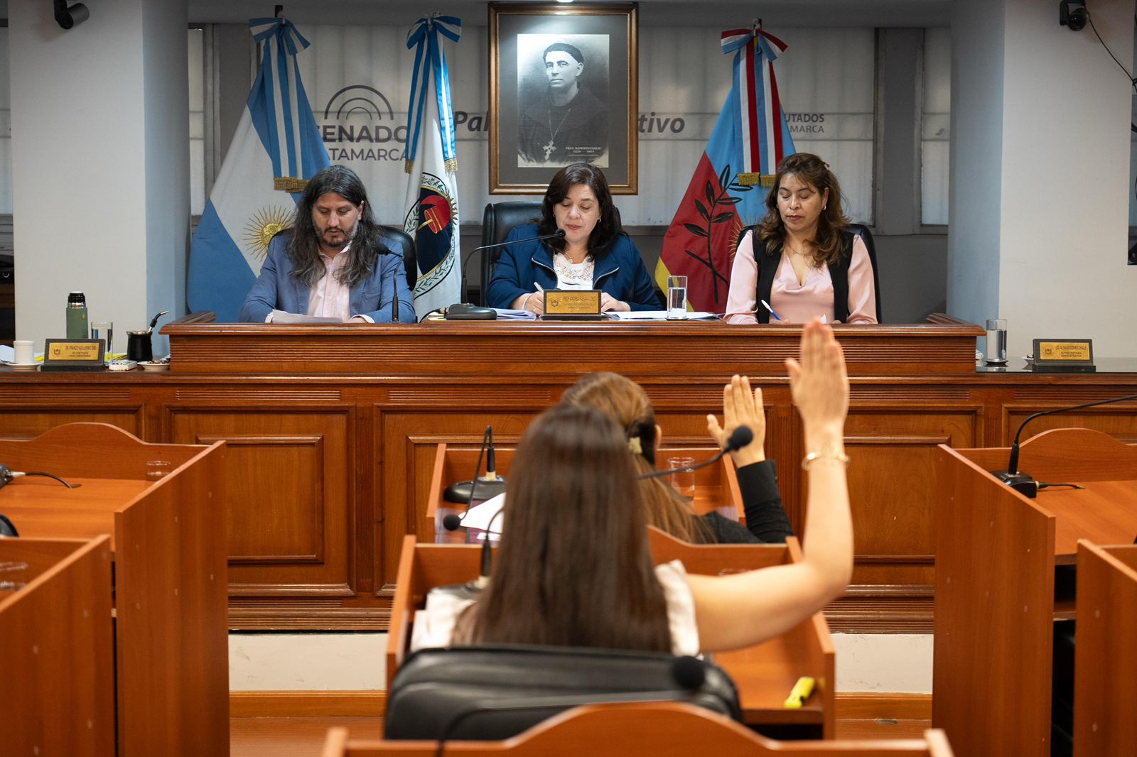 la-camara-alta-llevo-adelante-su-17-sesion-ordinaria