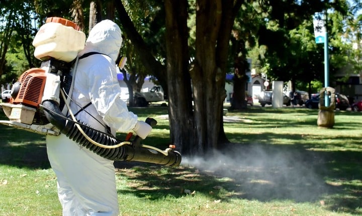 en-la-ultima-semana-catamarca-registro-121-casos-de-dengue