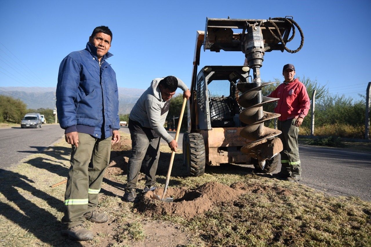 capital-avanza-con-el-plan-de-forestacion