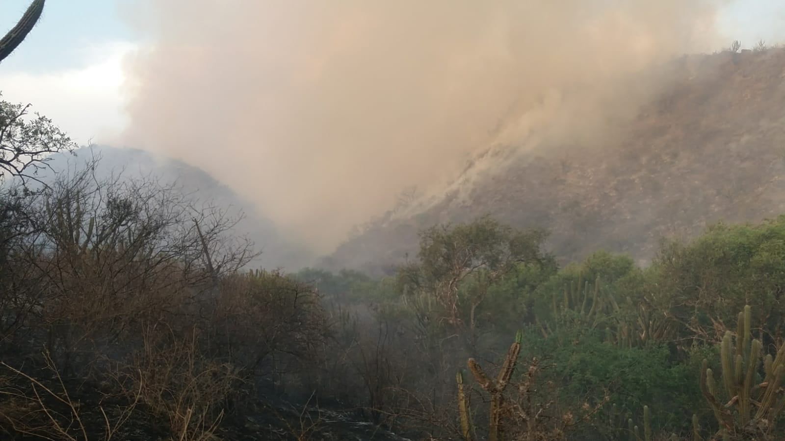 combaten-incendio-en-la-aguada