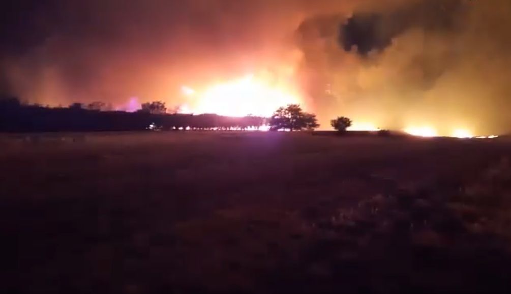 incendio-arraso-con-casi-1-000-hectareas-de-olivares