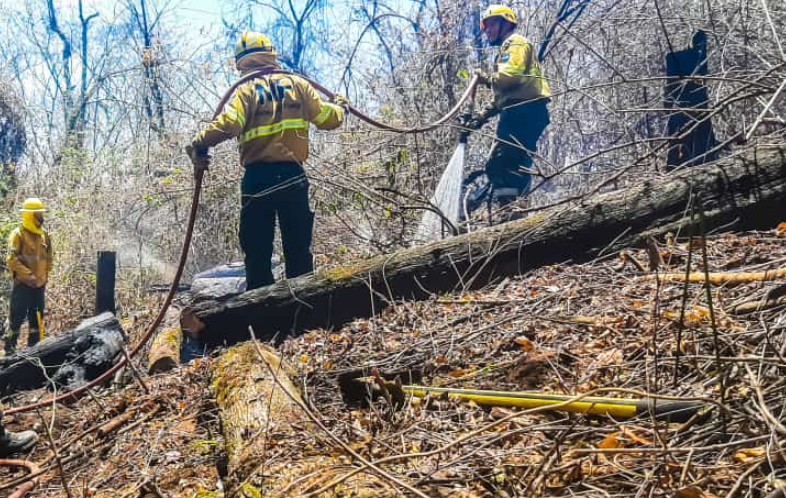alertan-sobre-la-alta-peligrosidad-de-incendios-forestales-en-los-proximos-dias
