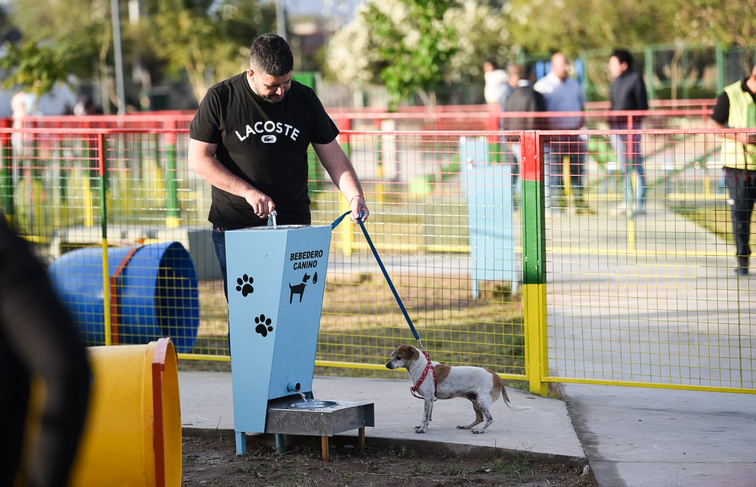 la-ciudad-ya-cuenta-con-su-primer-parque-tematico-canino