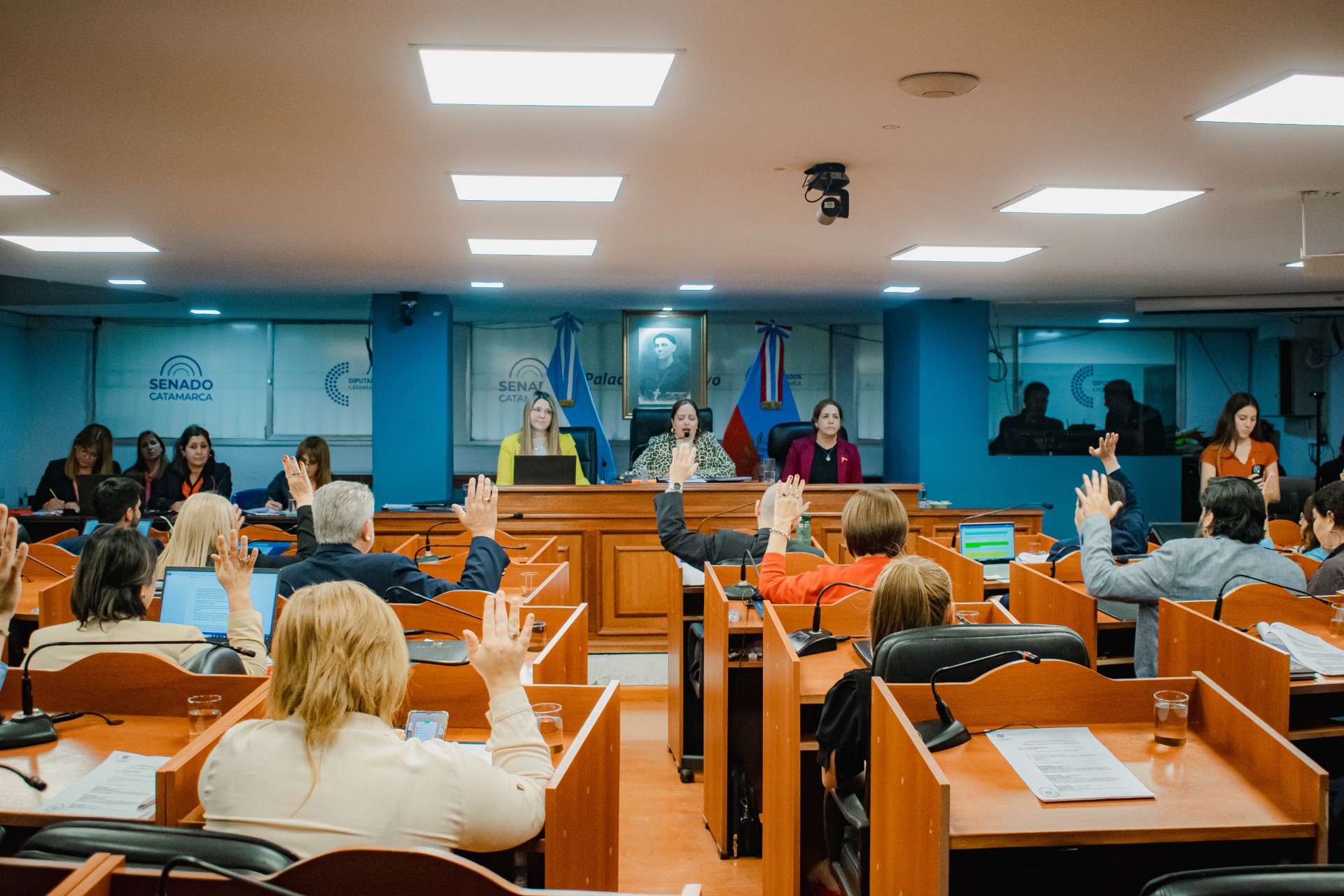 diputados-ratifico-el-decreto-de-emergencia-energetica