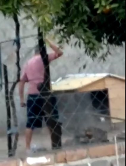 sumario-administrativo-y-pase-a-disponibilidad-de-policia-acusado-de-crueldad-animal