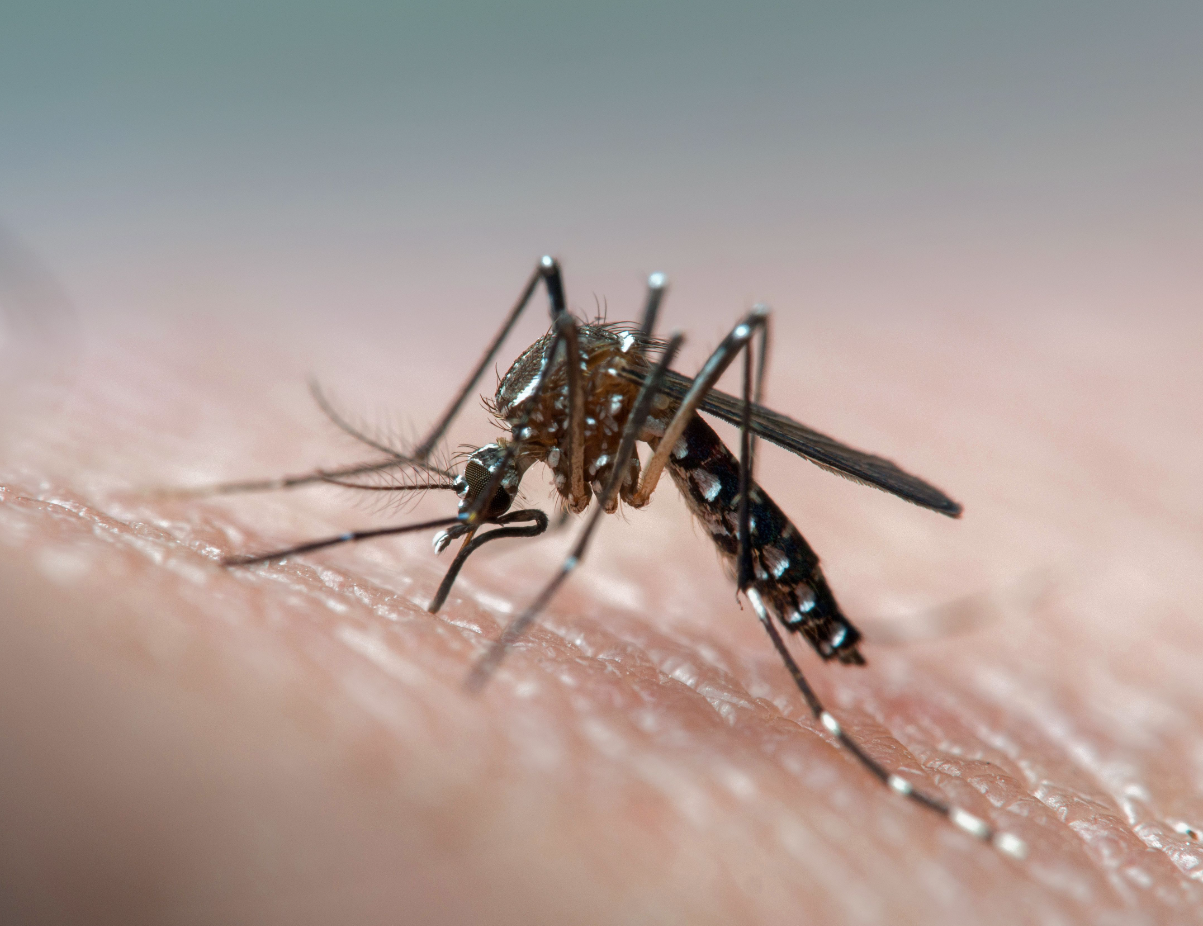 se-confirmo-que-la-persona-fallecida-no-tenia-de-dengue