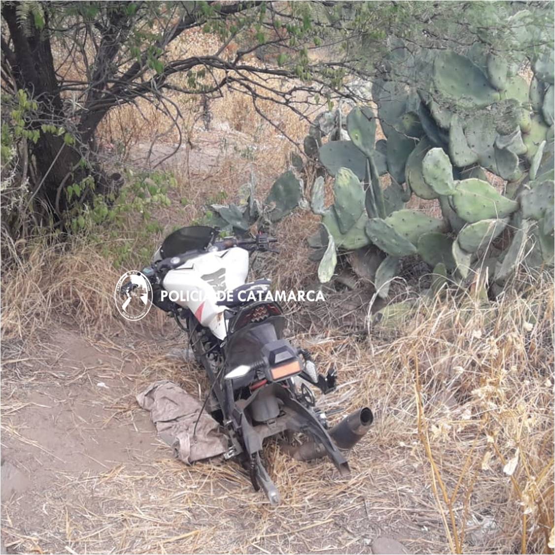 recuperan-autopartes-de-una-moto-robada