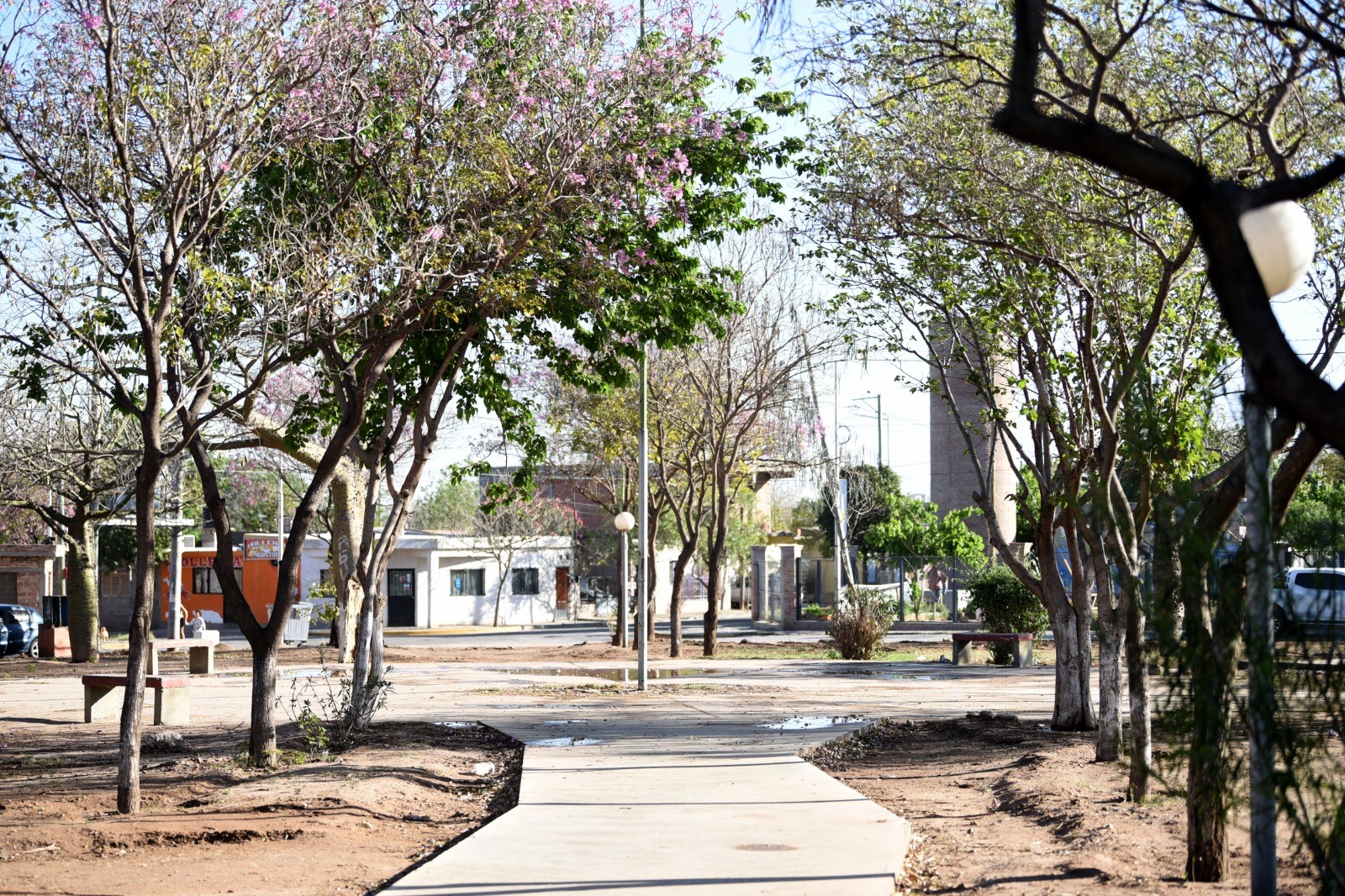 comenzo-la-instalacion-del-sistema-de-riego-en-la-plaza-del-bo-achachay