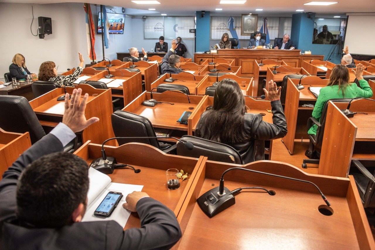 el-senado-prorrogo-la-emergencia-sanitaria-y-la-emergencia-por-incendios