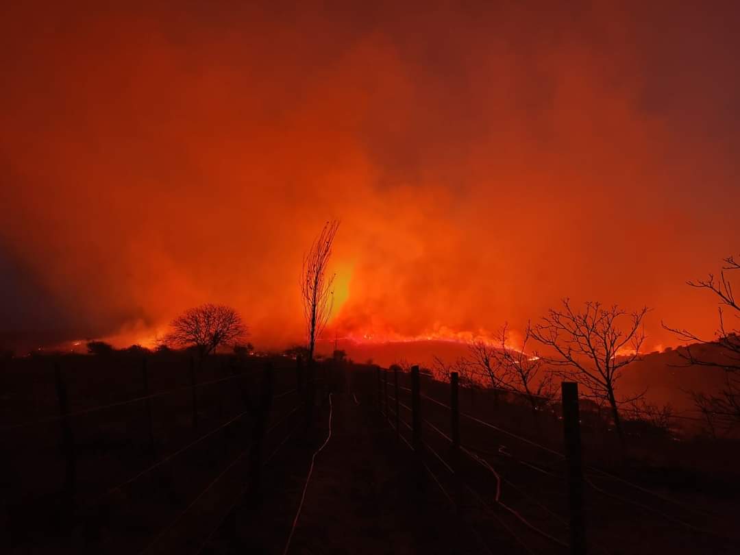 se-encuentra-oficialmente-extinguido-el-incendio-forestal-en-las-juntas