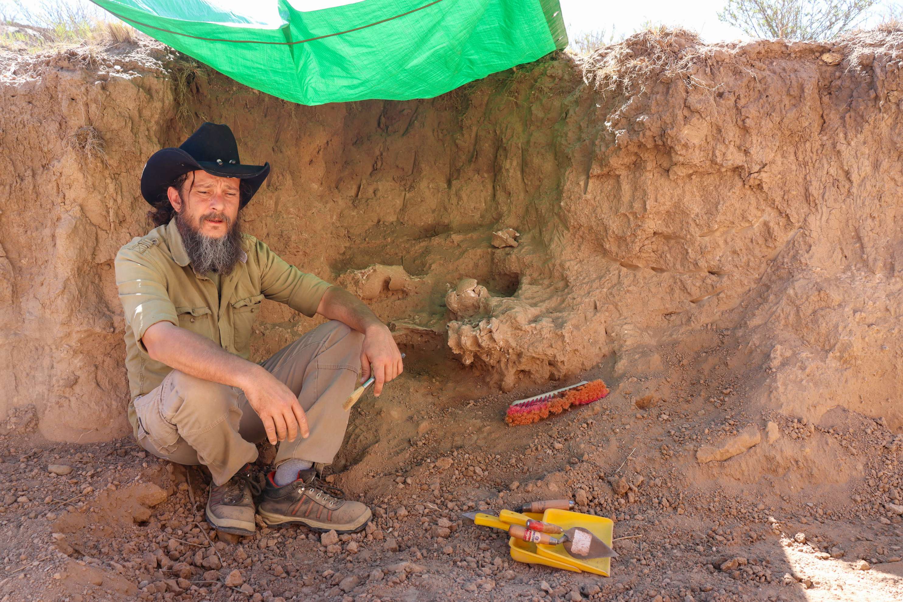 hallaron-restos-fosiles-de-mylodon-en-aconquija