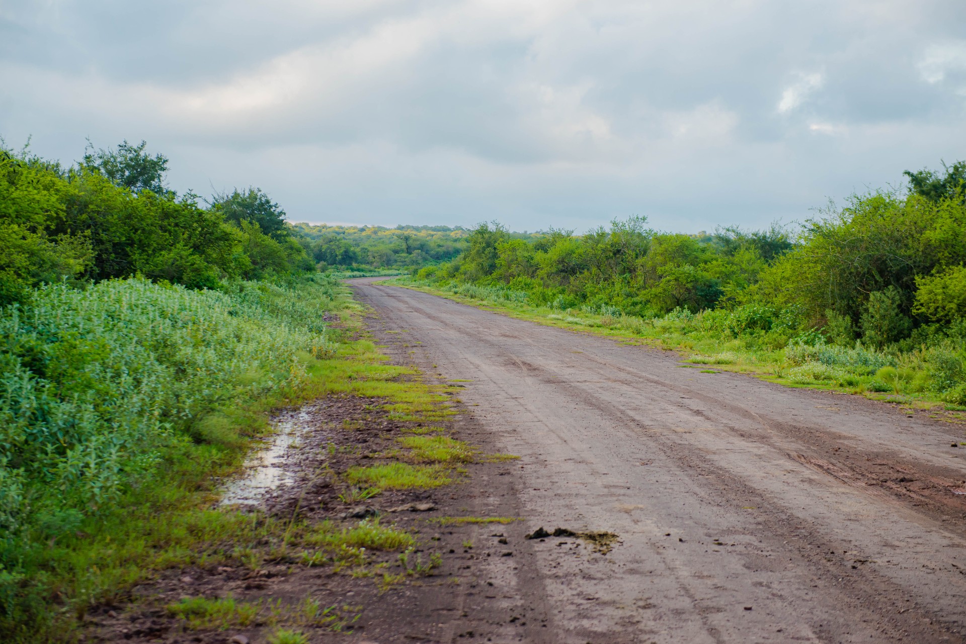 estudian-la-reactivacion-de-la-ruta-2-con-fondos-provinciales