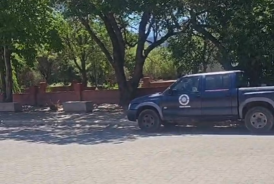 un-hombre-fue-arrestado-por-el-brutal-ataque-a-punaladas-en-san-antonio