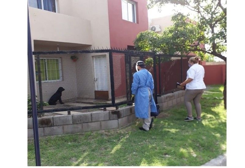 cronograma-de-acciones-contra-el-dengue-esta-semana-sera-en-zona-norte