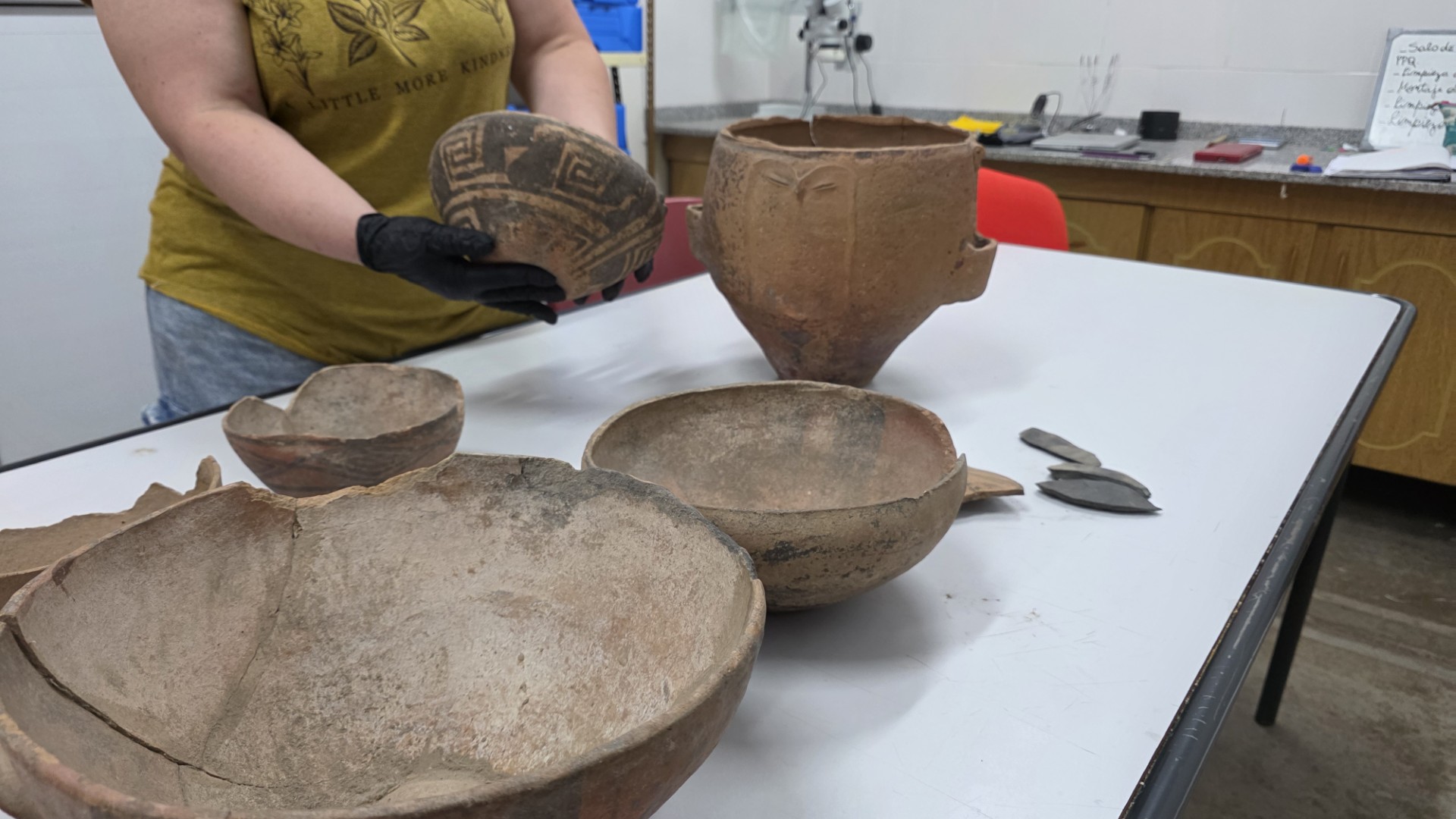 recuperaron-valiosas-piezas-arqueologicas-mediante-una-donacion-anonima