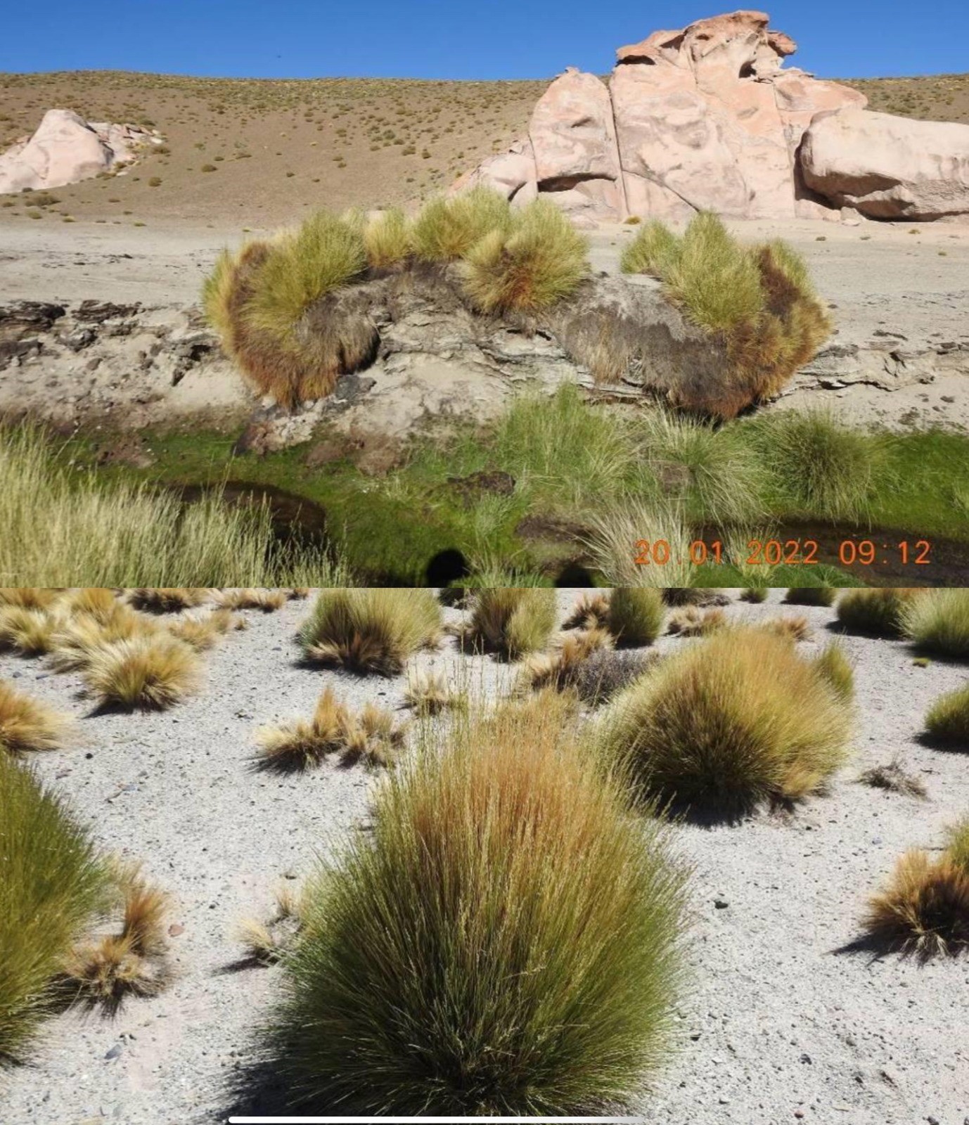 avanza-el-proyecto-de-revalorizacion-de-la-vega-trapiche-en-antofagasta