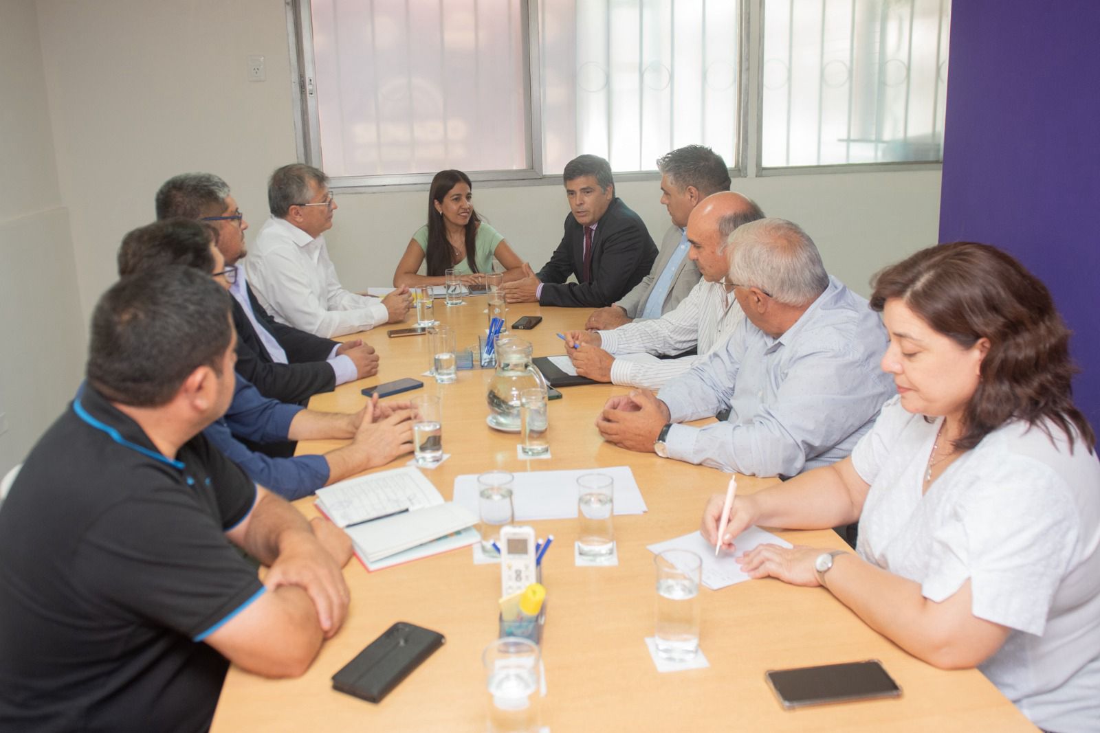 asuntos-constitucionales-avanza-en-el-analisis-del-proyecto-de-suspension-de-las-paso