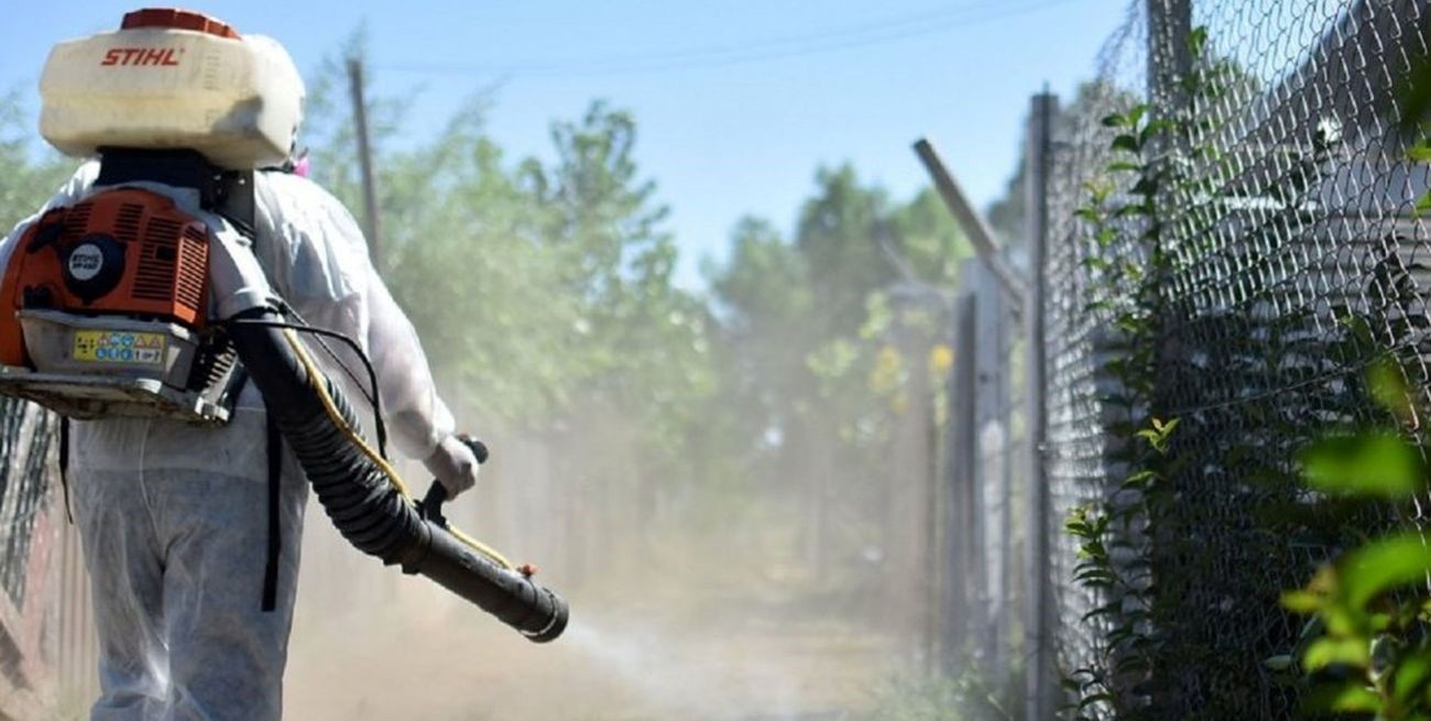 dengue-en-catamarca-126-casos-nuevos-en-la-ultima-semana