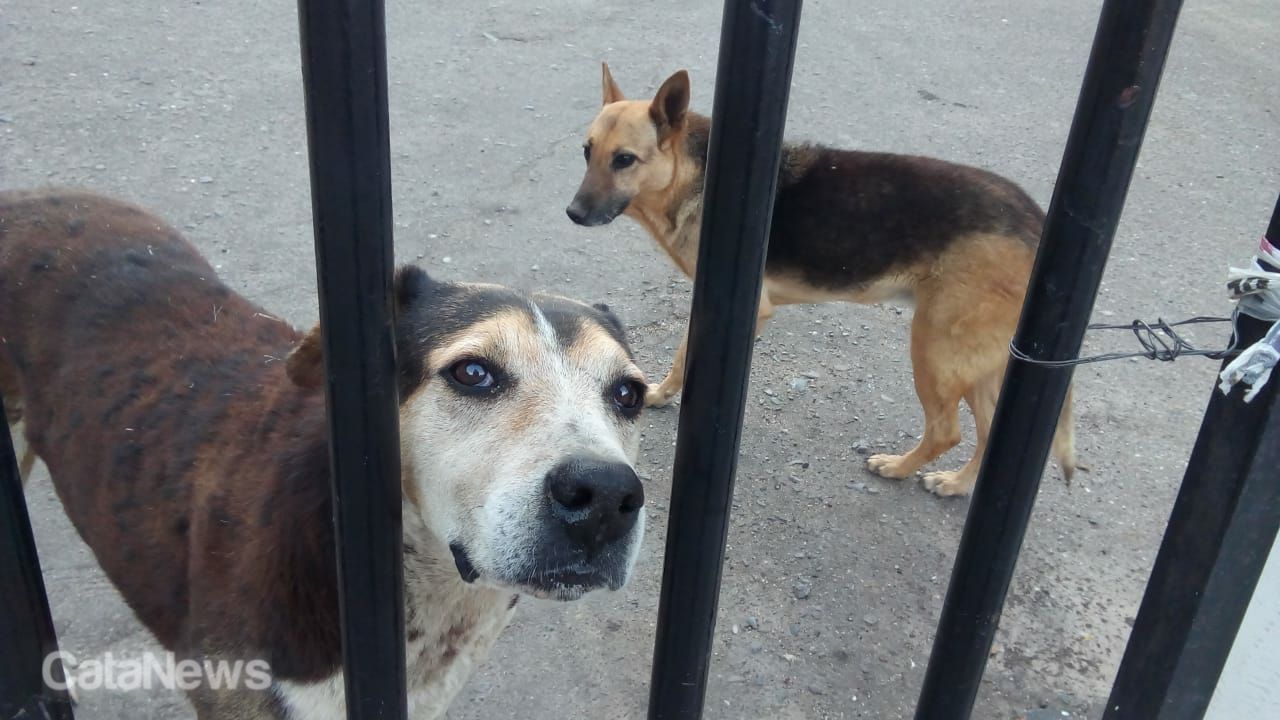 mota-y-flaca-las-guardianas-de-la-virgen