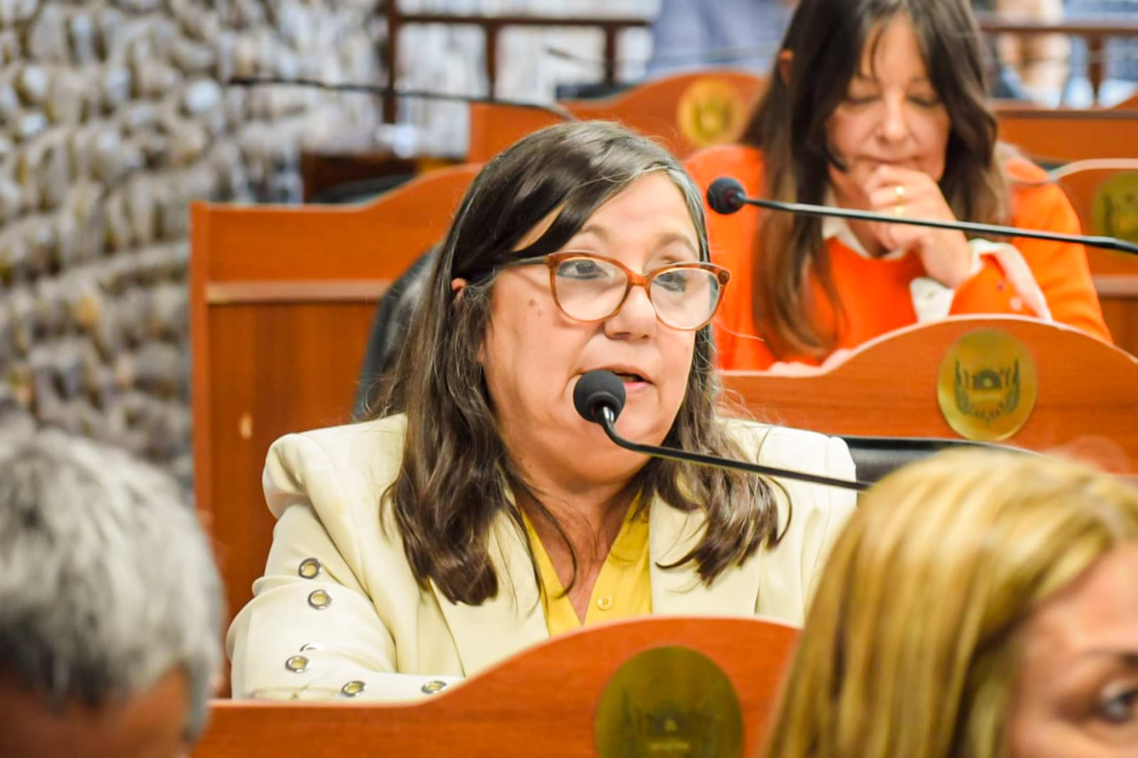 cecilia-guerrero-renuncio-al-jurado-de-enjuiciamiento