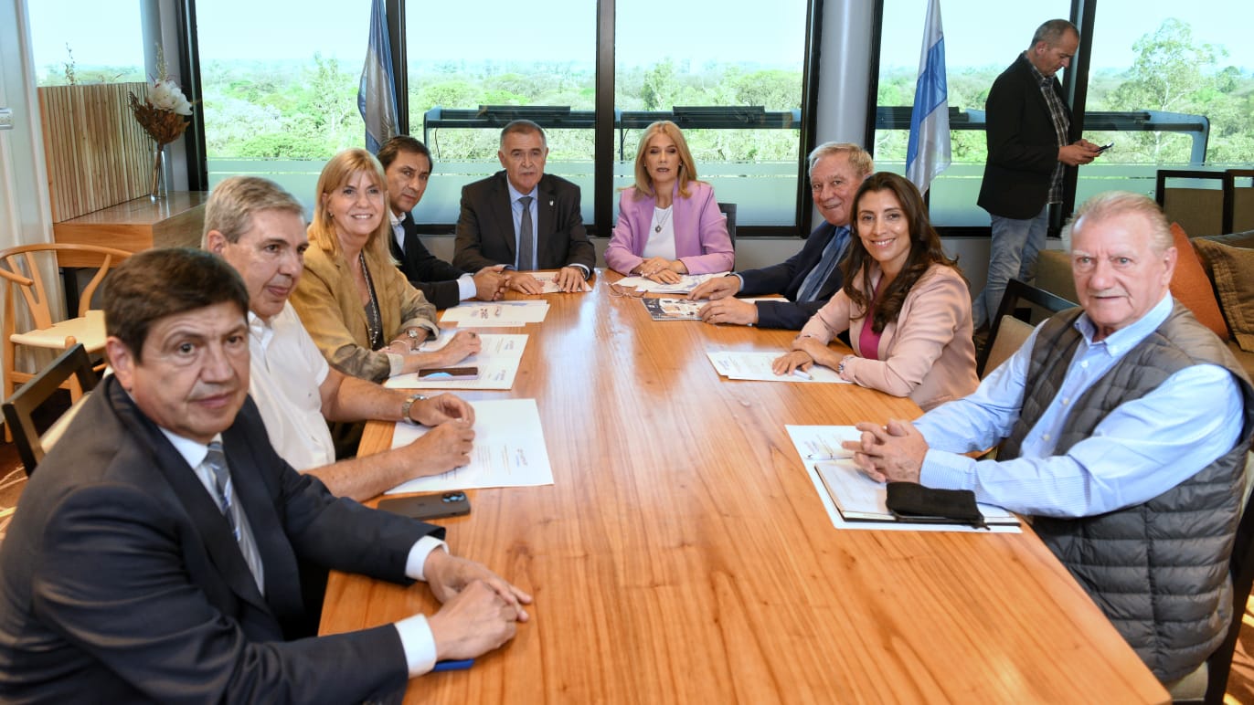 vicegobernadores-y-vicegobernadoras-se-reunieron-en-tucuman