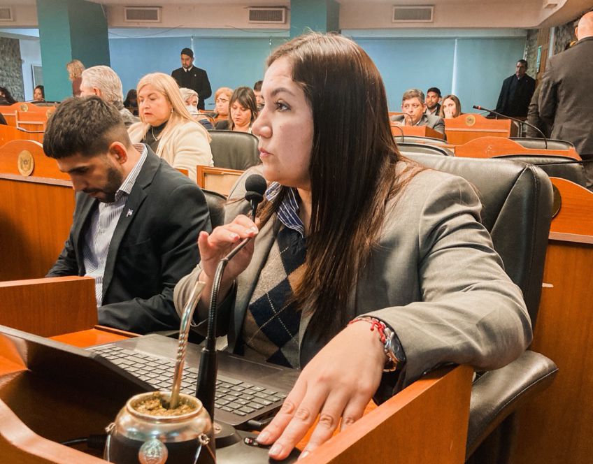 regalias-mineras-el-bloque-de-la-ucr-emitio-despacho-en-minoria-a-favor